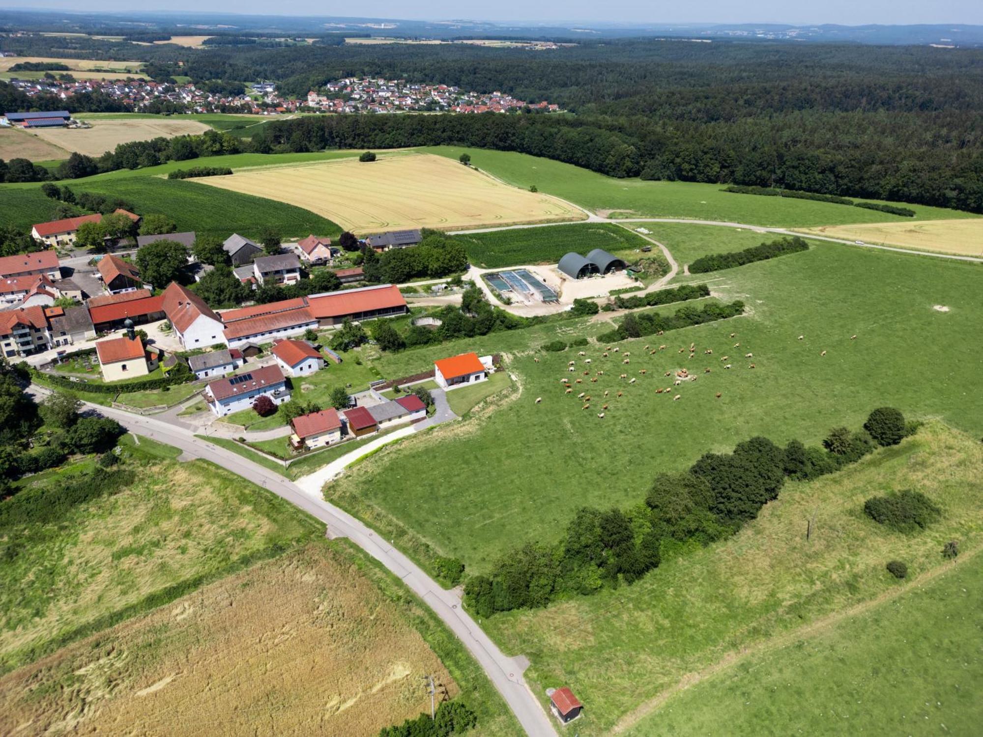 Apartmán Wo Sich Kuh, Fuchs Und Hase Gute Nacht Sagen Wolfsegg Exteriér fotografie